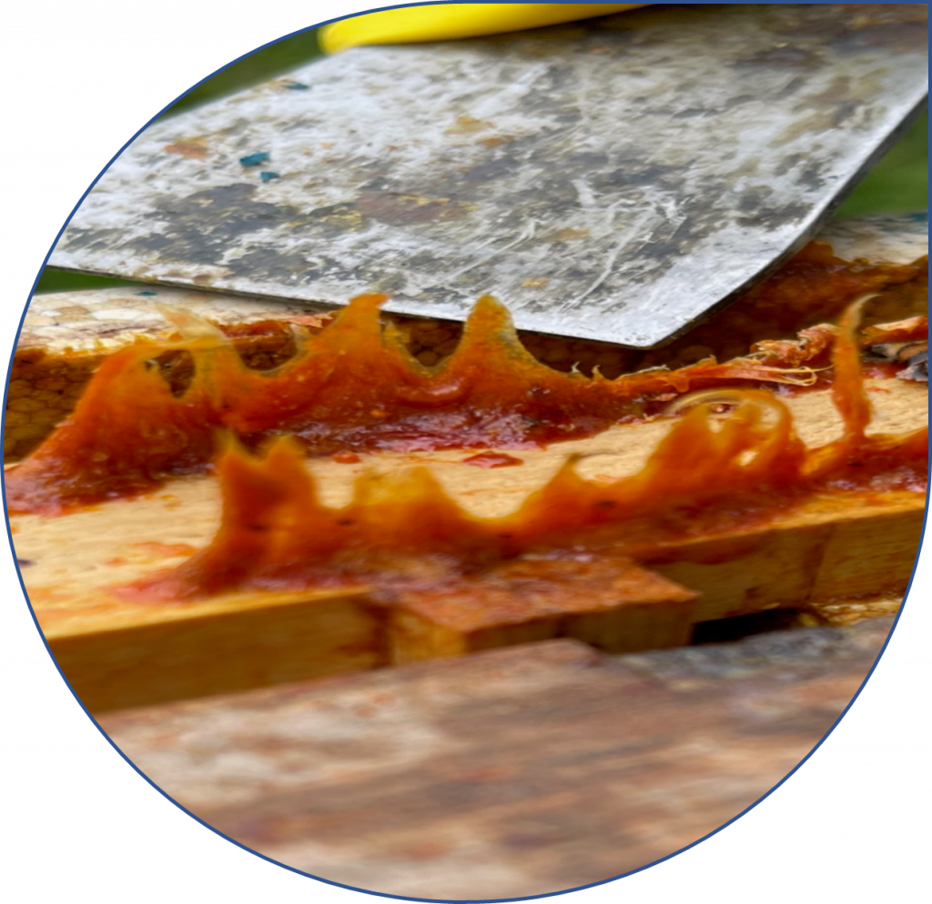  East Dorset Beekeepers Association