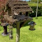 Dorset honeybee swarm on bird table