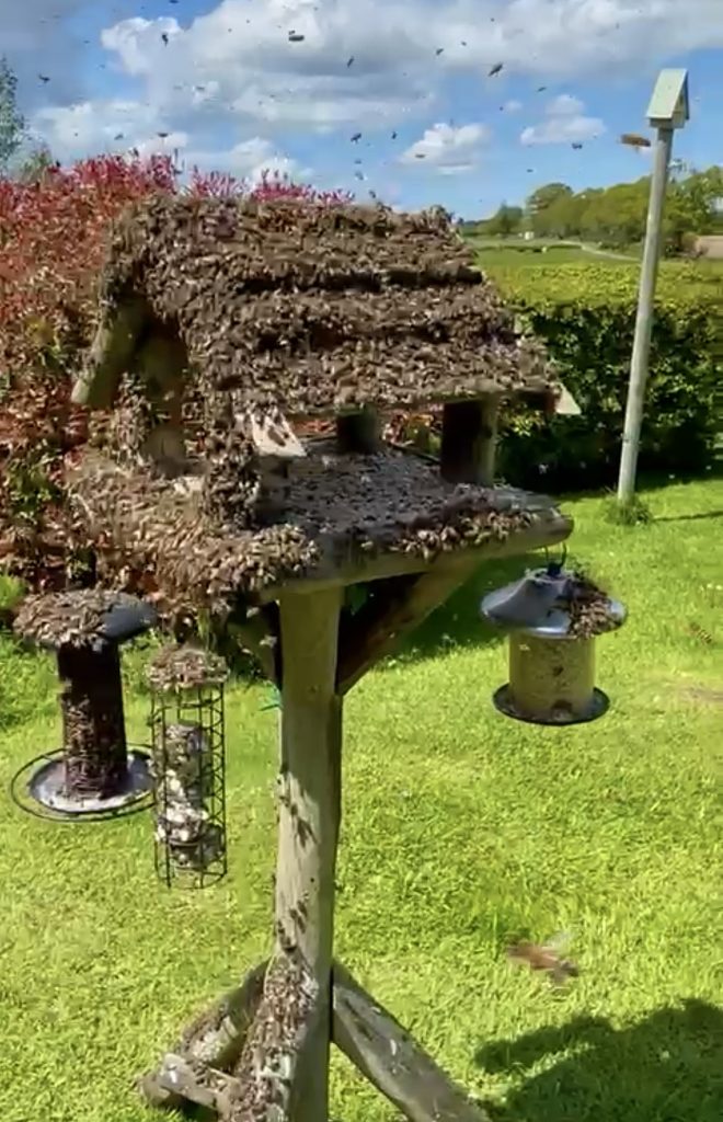 Gallery East Dorset Beekeepers Association