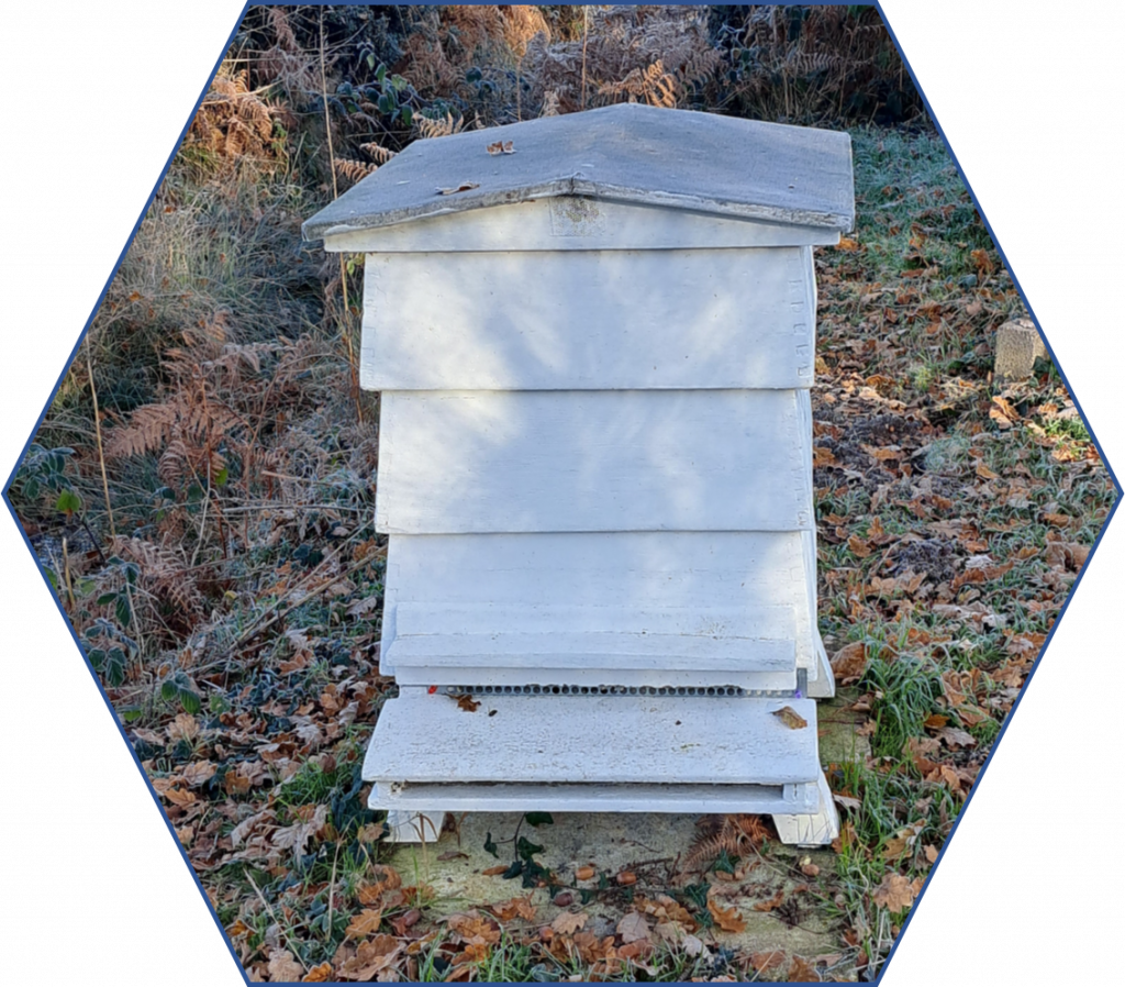 WBC beehive in winter