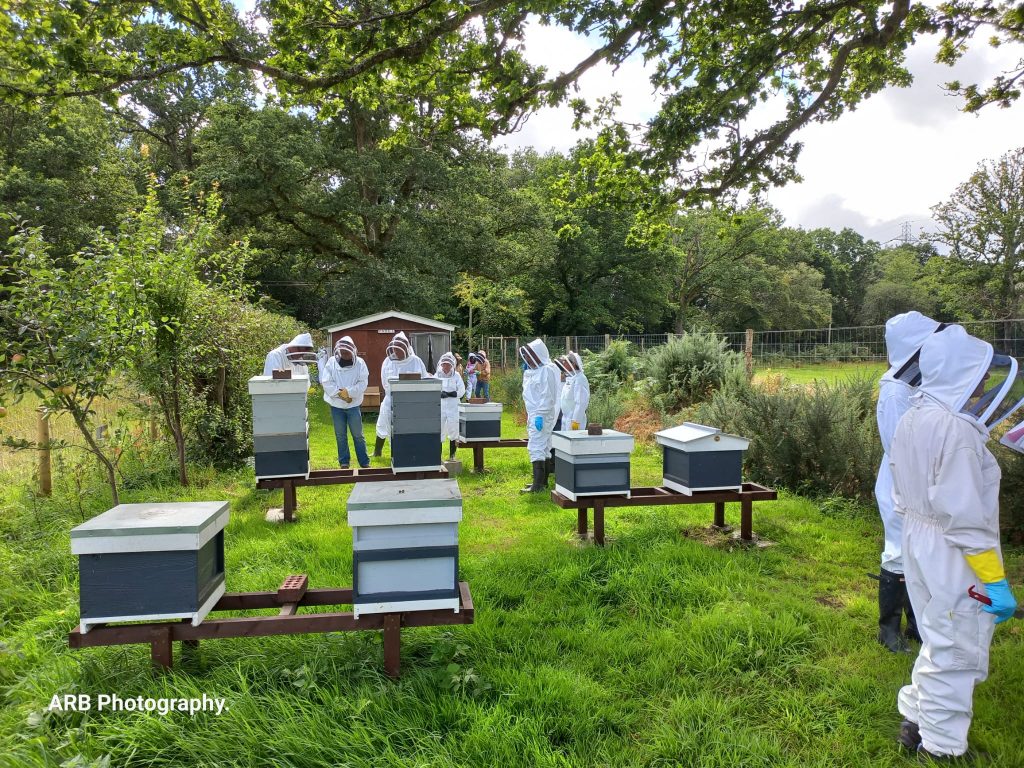 Beekeepers in an apiary with hives.