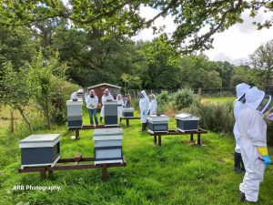 Beekeeping training at our apiary