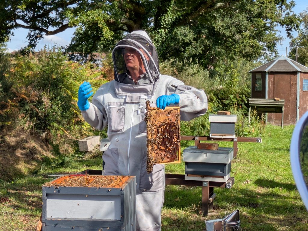 Beekeeper inspecting beehive at EDBKA Apiary