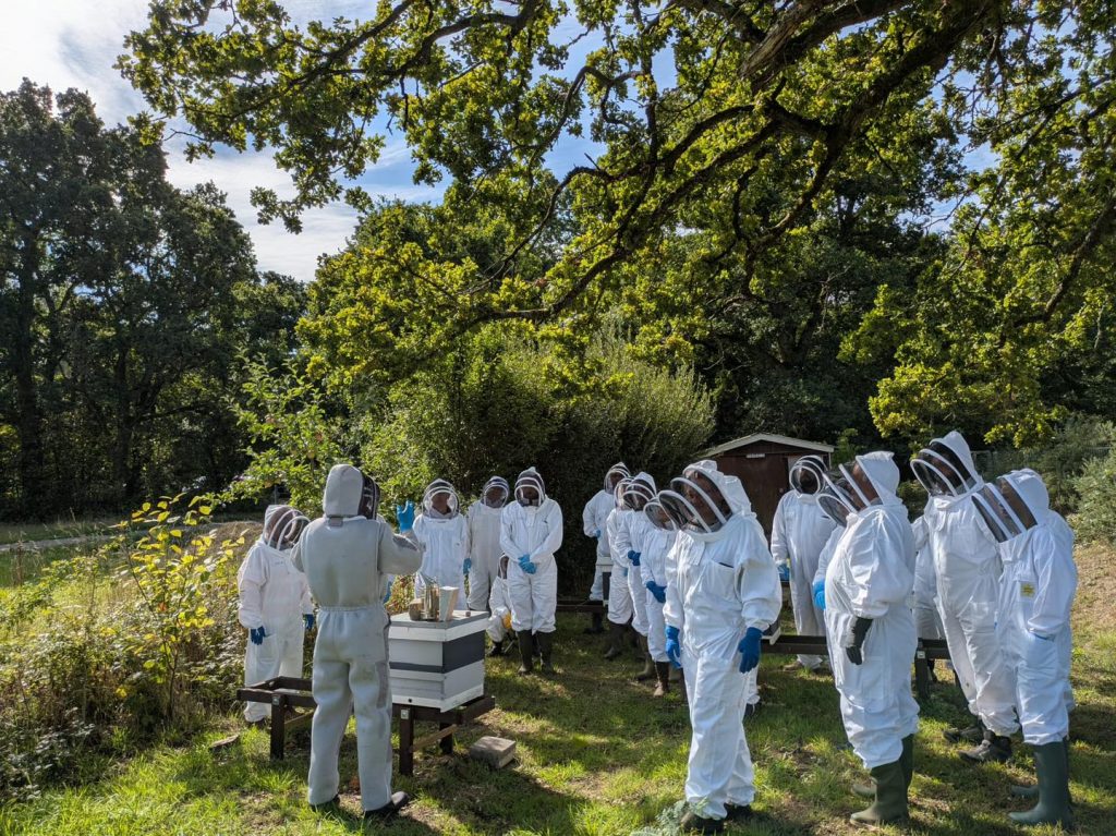 Beekeepers training in EDBKA Apiary Dorset