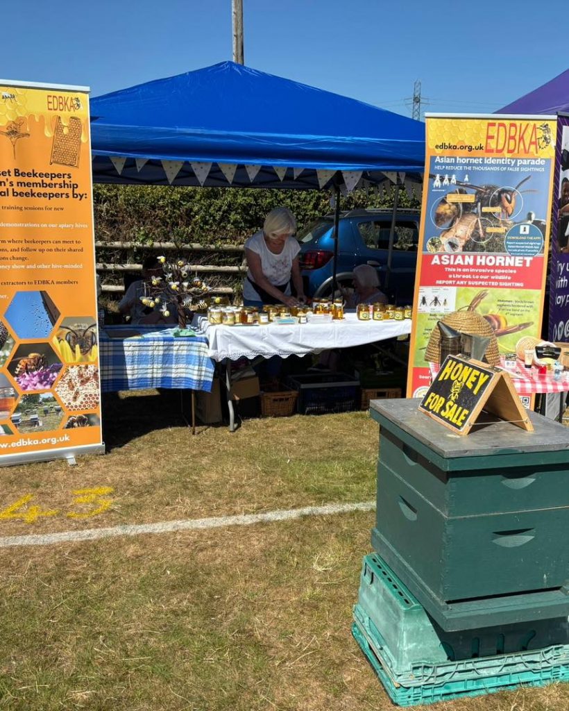 East Dorset Beekeeping Stand at community event with honey and a beehive.