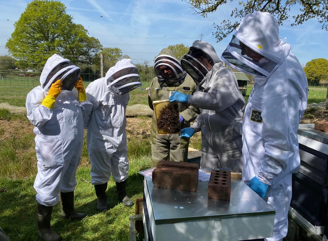 Beekeepers look at a hive and frame with protective suits at EDBKA